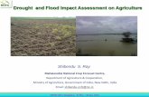 Drought and Flood Impact Assessment on Agriculture Ray.pdf · Methodology for Agricultural Drought Assessment NDVI/NDWI anomaly Assessment (1)Relative dev. (2)VCI (3)In season change