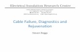 Cable Failure, Diagnostics and Rejuvenationcitris-uc.org/files/Boggs_Presentation_for_posting.pdf · >2 billion feet of pre-1980 PE cable 0 50 100 150 ... approximately the square