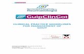 CLINICAL PRACTICE GUIDELINES FOR …...CPC for the management of gout CLINICAL PRACTICE GUIDELINES FOR MANAGEMENT OF GOUT Principal Investigator: Fernando Pérez Ruiz Coordinator: