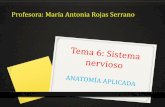 Profesora: María Antonia Rojas Serranomariarojas.iescla.org/wp-content/uploads/2019/01/Sistema...-TÁLAMO: es la parte central del encéfalo, por él pasan las vías sensitivas que