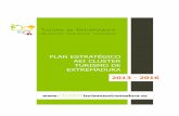 › seccion › data › sections › 21 › docs › ... · PLAN ESTRATÉGICO AEI CLUSTER TURISMO DE EXTREMADURAPlan Estratégico AEI Cluster del Turismo de Extremadura 2013 - 2016