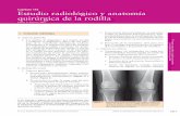 Capítulo 116 Estudio radiológico y anatomía quirúrgica de ...Capítulo 116 Estudio radiológico y anatomía quirúrgica de la rodilla A A 1313AAOS C 2 9 Terapia conservadora, cirugía