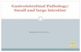 GASTROINTESTINAL PATHOLOGY: SMALL & LARGE INTESTINE... · References General GI: Morson and Dawson’s Gastrointestinal Pathology th Day et al.4 Edition. Blackwell Publishing. Biopsy