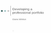 Developing a professional portfolio - a unique student .../file/4EU-Directives.pdf · 'A portfolio is a purposeful collection of student work that exhibits the student's efforts,