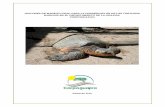 ACCIONES DE MANEJO LOCAL - Corporación Autónoma Regional de La …corpoguajira.gov.co/.../tortuga-ACCIONES-DE-MANEJO-LOCAL.pdf · 2017-07-14 · posteriormente con Unidad de Parques,