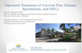 Operative Treatment of Cervical Disc Disease, Spondylosis ...web.brrh.com/msl/Degenerative Disease of the Spine - Diagnosis and Management 2016...Operative Treatment of Cervical Disc