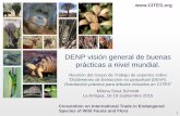 DENP visión general de buenas prácticas a nivel mundial. Milena Sosa.pdf · 2015-10-01 · 1 Convention on International Trade in Endangered Species of Wild Fauna and Flora DENP