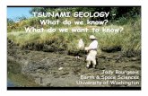 TSUNAMI GEOLOGY – What do we know? What do we want to …tsunami.orst.edu/workshop/2006/doc/Bourgeois_Geology... · 2007-01-05 · TSUNAMI GEOLOGY – What do we know? What do we