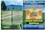 BPA - Dirección Regional Agraria Puno · 2016-06-27 · terrenos fértiles y de preferencia con disponibilidad de agua. Sembrar en terrenos sin contaminantes quírnicos, el terreno