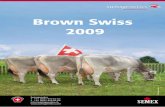 Brown Swiss 2009 - Best Genetics · Foto: Swissgenetics Brown Swiss 2009 Swissgenetics T +41 (0)31 910 62 62 F +41 (0)31 910 62 66 info@swissgenetics.ch
