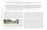 JOURNAL OF LA Pedestrian Attribute Recognition: A …JOURNAL OF LATEX CLASS FILES, VOL. 14, NO. 8, JANUARY 2019 1 Pedestrian Attribute Recognition: A Survey Xiao Wang, Shaofei Zheng,