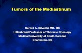 0900 Tumors of the Mediastinum (Silvestri)Summary • The differential of tumors of the mediastinum is largely based upon the location in which they are found • Both benign and malignant