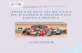 ASOCIACIÓN MURCIANA DE PADRES E HIJOS CON ESPINA …amupheb.org/wp-content/uploads/2016/06/MEMORIA... · mielomeningocele presentan hidrocefalia, problema que debe ser corregido