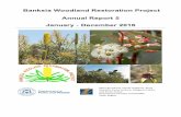 Banksia Woodland Restoration Project · 2017-05-23 · Banksia Woodland Restoration Project Annual Report 2016 5 By late 2016 completion criteria targets for the density and diversity