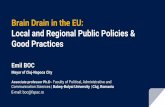 Brain Drain in the EU: Local and Regional Public Policies & Good … · 2019-10-31 · brain drain (Cavallini, S. et al., 2018): 30 initiatives related to fighting brain drain and/or