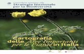 Cartografia Aree Importanti inItalia · 2019-02-14 · PALOMBI EDITORI Contributo tematico alla StrategiaNazionale perlaBiodiversità Cartografia delle Aree Importanti per le Piante