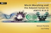 Mesh Morphing and the Adjoint Solver in ANSYS R14 · Mesh Morphing and the Adjoint Solver in ANSYS R14.0 Simon Pereira ... •Freeform mesh deformation defined on a matrix of control