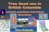 Tree Seed use in British Columbia - MFFP · Tree Seed use in British Columbia ... Tree Seed Centre Quality Assurance Topic Overview. Reforestation with genetic gain is viewed as a