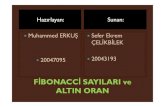 FİBONACCİSAYILARI ve ALTIN ORANtektasi.net/wp-content/uploads/2014/01/fibonacci.pdfMimar Sinan’ın eserlerinde Mimar Sinan'ın da bir çok eserinde bu altın oran görülmektedir.