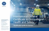International General Certificate in Occupational Health ... · English, Arabic, French, Mandarin, Portuguese (European), Russian, Spanish (European) and Turkish Note: examinations