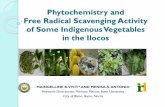 Phytochemistry and Free Radical Scavenging Activity of ...icfec.weebly.com/uploads/9/4/4/2/94425229/phytochemistry_and_free_radical_scavenging...Phytochemistry and Free Radical Scavenging