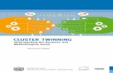 CLUSTER TWINNING - TOCIC-CGCRIon “Cluster Twinning” was implemented that aimed at optimal process for the linking two clusters across different countries at different levels of
