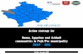 Action strategy for - Syri i Vizionit...Action strategy for Roma, Egyptian and Ashkali communities in Pejë/Pec municipality 2009 - 2011 Published by: NGO “Syri i Vizionit” Qendra