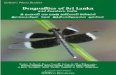 Dragonflies of Sri Lanka PDF.pd - Jetwing Eco...Yala (Ruhunu) National Park Weligatta Ambalantota Nonagama Hungama Tanamalwila Bundala National Park Kirinda Wellawaya Bandarawela Welimada