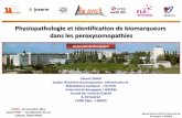 Physiopathologie et identification de biomarqueurs dans ... paris 2012.pdf · Implication de l’inflammation et du stress oxydant dans l’X-ALD Gérard Lizard, EA7270, Université