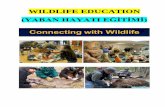 WILDLIFE EDUCATION - Karadeniz Teknik ÜniversitesiAmerika Birleşik Devletlerinde, Yaban Hayatı (Wildlife) konusunda eğitim veren ve “National Association of University Fisheries