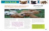 AVSAB Position Statement On Puppy Socialization American … · 2019-01-02 · 1 AVSAB Position Statement On Puppy Socialization The PrimAry And mOST imPOr TAnT time for puppy socialization