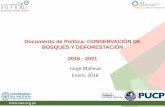 Documento de Política: CONSERVACIÓN DE BOSQUES Y ......Documento de Política: CONSERVACIÓN DE BOSQUES Y DEFORESTACIÓN 2016 - 2021 ... •Desarrollo de programas participativos