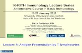 Lecture 4: Antigen Presentation by T lymphocytesstreaming.einstein.yu.edu/.../L-4-Goldstein-Ag-presentation-by-t-lymphocytes.pdfLecture 4: Antigen Presentation by T lymphocytes. ...