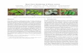 Real-Time Rendering of Plant Leaves · 2018-01-04 · Real-Time Rendering of Plant Leaves ... but achieving realism means confronting many challenges inherent in the composition and