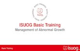 ISUOG Basic Training · • Mosaicism • Uterine anomaly • Velamentous cord insertion EXTERNALFACTORS • Smoking • Infection • Psycho/social SGA / FGR . Basic Training ...