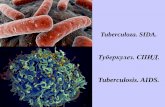 Tuberculoza. SIDA....Tema: Tuberculoza.SIDA I. Micropreparate: 79. Tuberculoză miliară pulmonară.(coloraţie H-E.).Indicaţii: 1. Granulom tuberculos: a. necroza cazeoasă în centrul