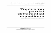 Topics on partial differential equations - uniba.sk · Topics on partial differential equations Reinhard Farwig Department of Mathematics Darmstadt University of Technology 64283