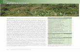 AGROFORESTERIE · 2011-11-21 · 134 La pratique de la gestion durable des terres AGROFORESTERIE Applicabilité Dégradations des terres concernées Détérioration chimique du sol