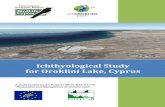 Ichthyological Study for Oroklini Lake, Cyprusadmin.brainserver.net/uploads/oroklini/... · Ichthyological Study for Oroklini Lake. BirdLife Cyprus; Final Report 2014. 5 estimated