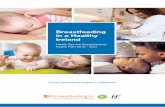 Breastfeeding in a Healthy Ireland - HSE.ie...Strategy 2016-2026 (DoH, 2016); Better Outcomes, Brighter Future The national policy framework for children and young people 2014-2020