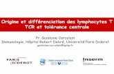 Origine et différenciation des lymphocytes T TCR et …...Origine et différenciation des lymphocytes T TCR et tolérance centrale Pr. Guislaine Carcelain Immunologie, Hôpital Robert