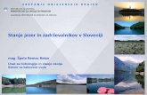Stanje jezer in zadrževalnikov v Sloveniji · poletne sezone povzročajo različne aktivnosti na obali jezera. Skupna ocena stanja se je znižala zaradi ocene na podlagi bentoškihnevretenčarjev,