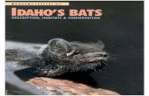 Idaho's Bats - Nongame Leaflet #11 

Title: Idaho's Bats - Nongame Leaflet #11 Author: idfg Subject: Idaho's Bats - Nongame Leaflet #11 Created Date: 2/1/2007 9:22:41 AM