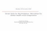 Small Tools for Big Problems: Microchips for Global Health ...inbios21/PDF/Fall2008/Cheng_11242008.pdfSmall Tools for Big Problems: Microchips for Global Health AIDS Diagnostics Xuaua