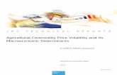 Agricultural Commodity Price Volatility and Its Macroeconomic Determinantspublications.jrc.ec.europa.eu/repository/bitstream/JRC... · 2013-11-05 · there are some key concepts largely