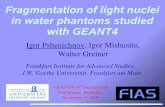 Fragmentation of light nuclei in water phantoms studied with GEANT4geant4.in2p3.fr/2005/Workshop/UserSession/I.Pshenichnov.pdf · 2007-12-10 · Fragmentation of light nuclei in water