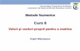 Curs 8 - rovislab.comrovislab.com/courses/mn/Curs_08_Valori si vectori proprii.pdf · 3 Formularea problemei Proprietăți esențiale (de ex. stabilitatea) ale unor modele matematice,