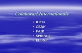 Colaborari Internationale · 2017-12-27 · Institutul Unificat de Cercetari Nucleare (IUCN) Dubna 1956 Institutul Unificat de Cercetari Nucleare (12 state membre) Astazi: 18 state