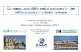 Common and differential patterns in the inflammatory mediator … SCHOOL 2013... · 2013-09-26 · Common and differential patterns in the inflammatory mediator release EAACI SUMMER