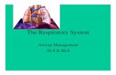 The Respiratory System - Shenandoah County · 2011-10-13 · the respiratory system, central nervous system, ... The contracting of the diaphragm and intercostal muscles causes a